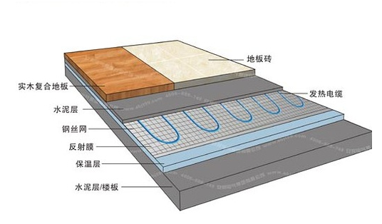 冬季，它們成了甲醛的幫兇