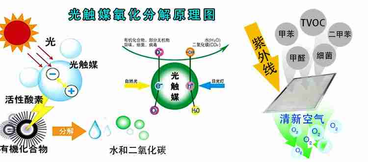 除甲醛常用方法，專家告訴你哪些有用