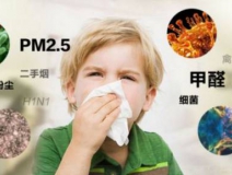 常見的家用除甲醛方法真的有效嗎？我們來看一看